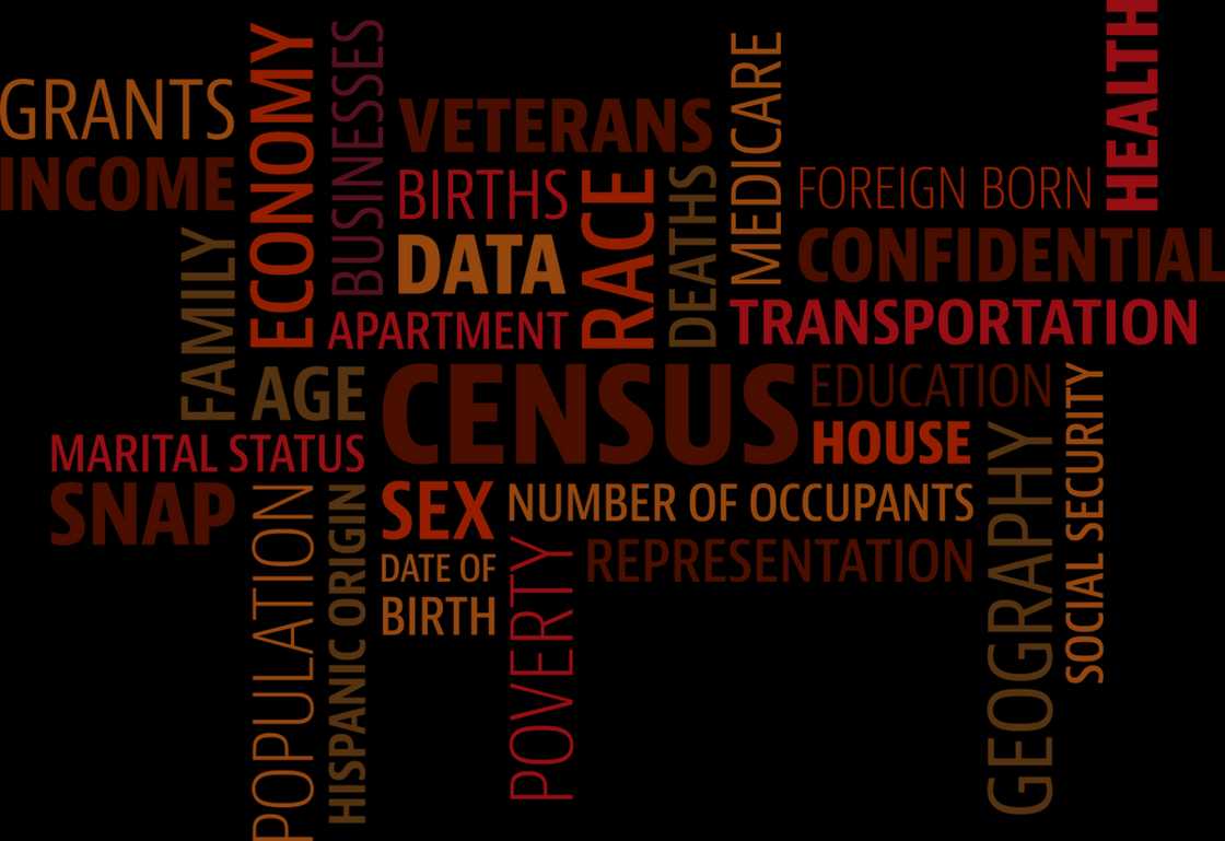 Importance of population census Importance of population census