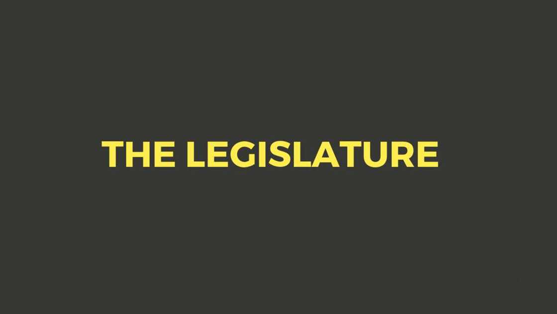 The legislative structure The legislative structure
