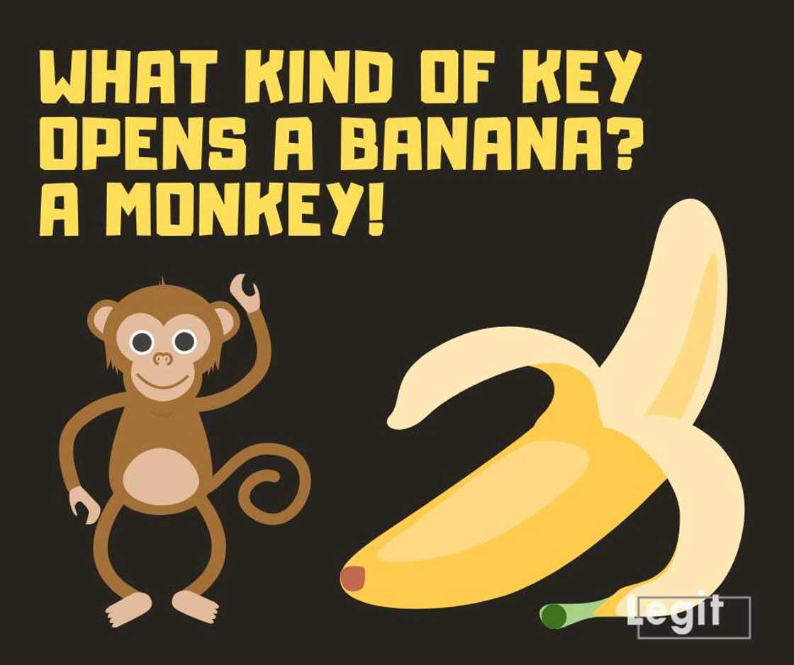 Good jokes for kids Good jokes for kids