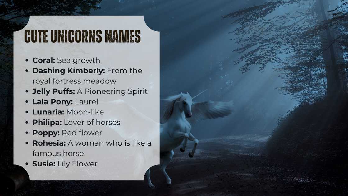 Cute names for unicorns