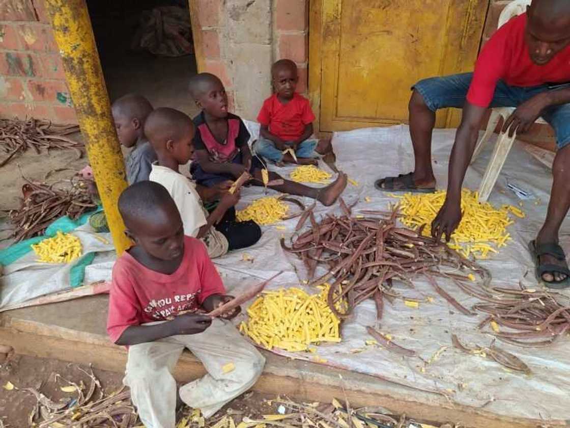 COVID-19: Yadda yunwa da mace-mace suka samu wurin zama a sansanin 'yan gudun hijira COVID-19: Yadda yunwa da mace-mace suka samu wurin zama a sansanin 'yan gudun hijira