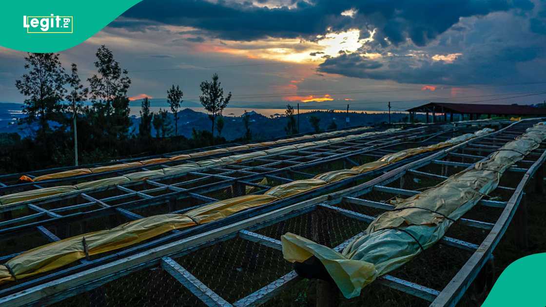 EU and US sanctions highlight global pressure on Rwanda’s mineral trade.