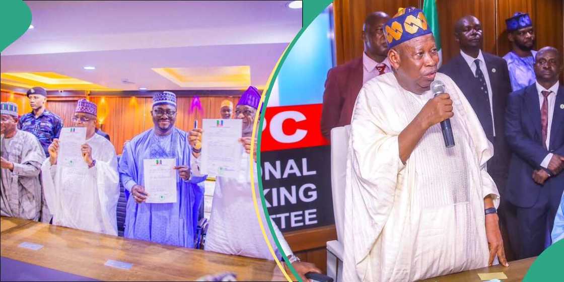 Ganduje ya yi nadi a APC Ganduje ya yi nadi a APC