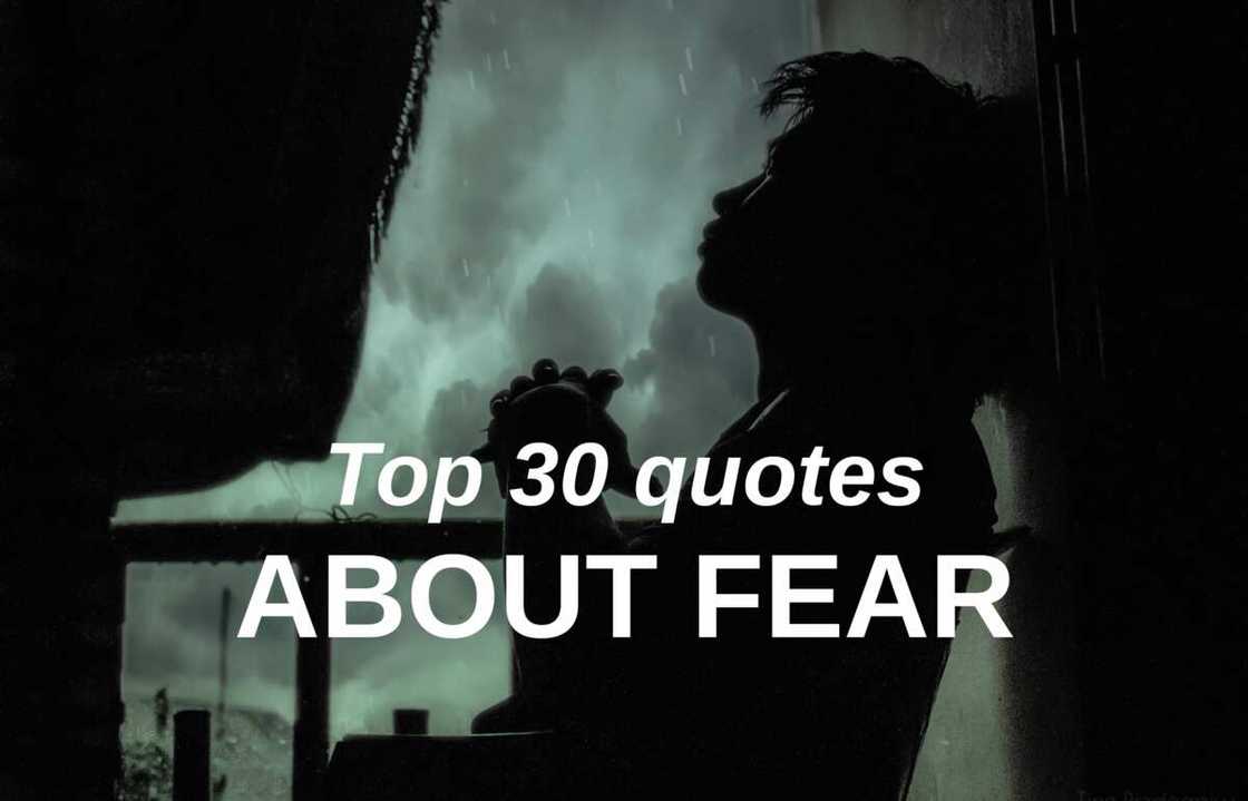 Top 30 quotes about fear Top 30 quotes about fear