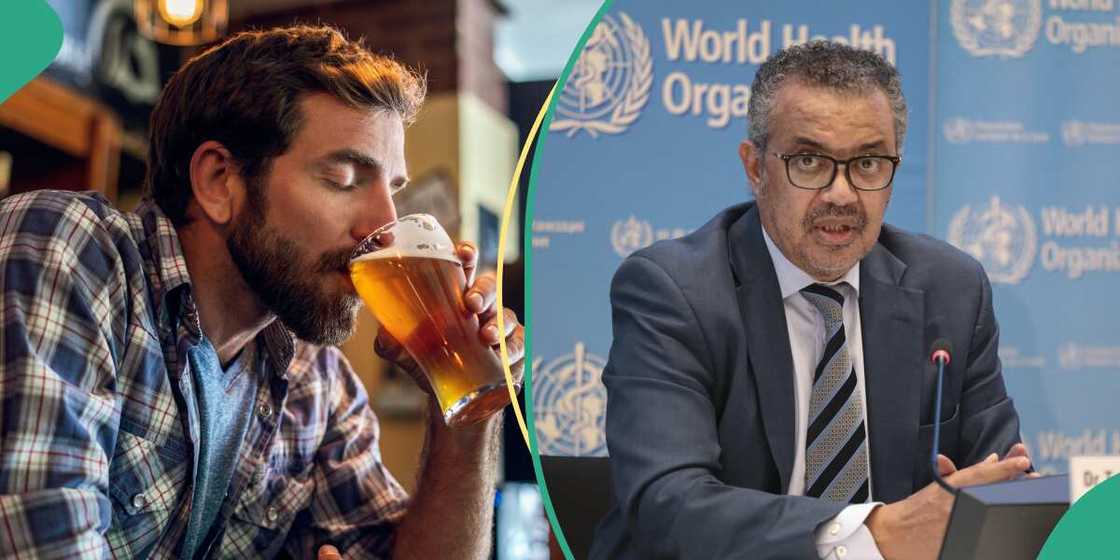 Hukumar WHO ta yi magana kan mutuwar masu shan giya a duniya Hukumar WHO ta yi magana kan mutuwar masu shan giya a duniya