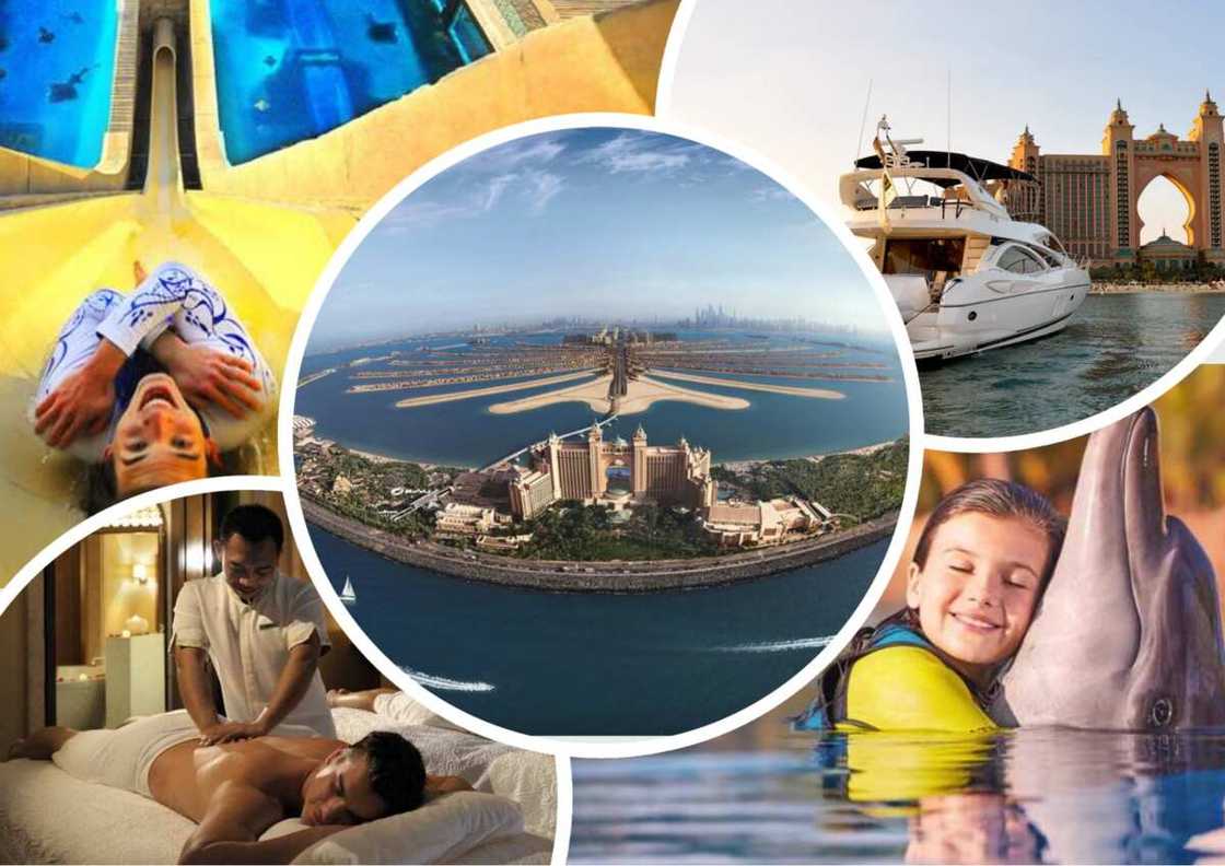 8 facts to know about Atlantis The Palm