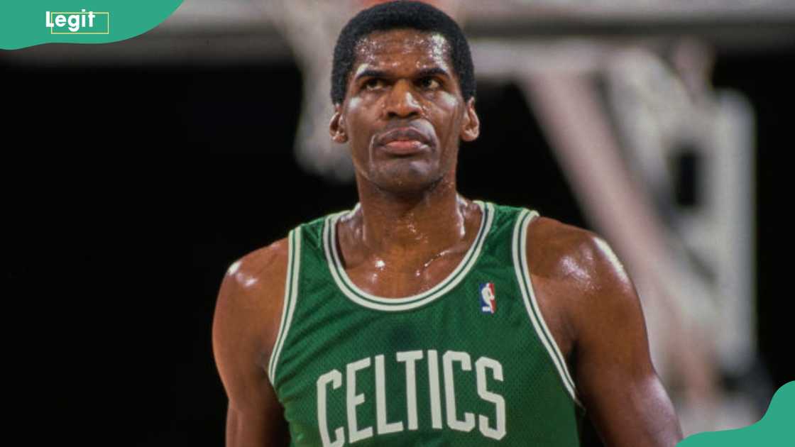 Robert Parish looks on during the NBA Midwest Division basketball game against the Denver Nuggets