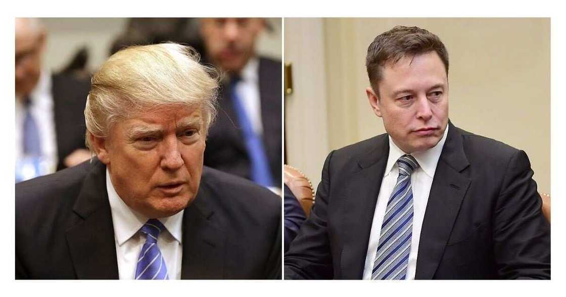 Donald Trump, Elon Musk, Twitter