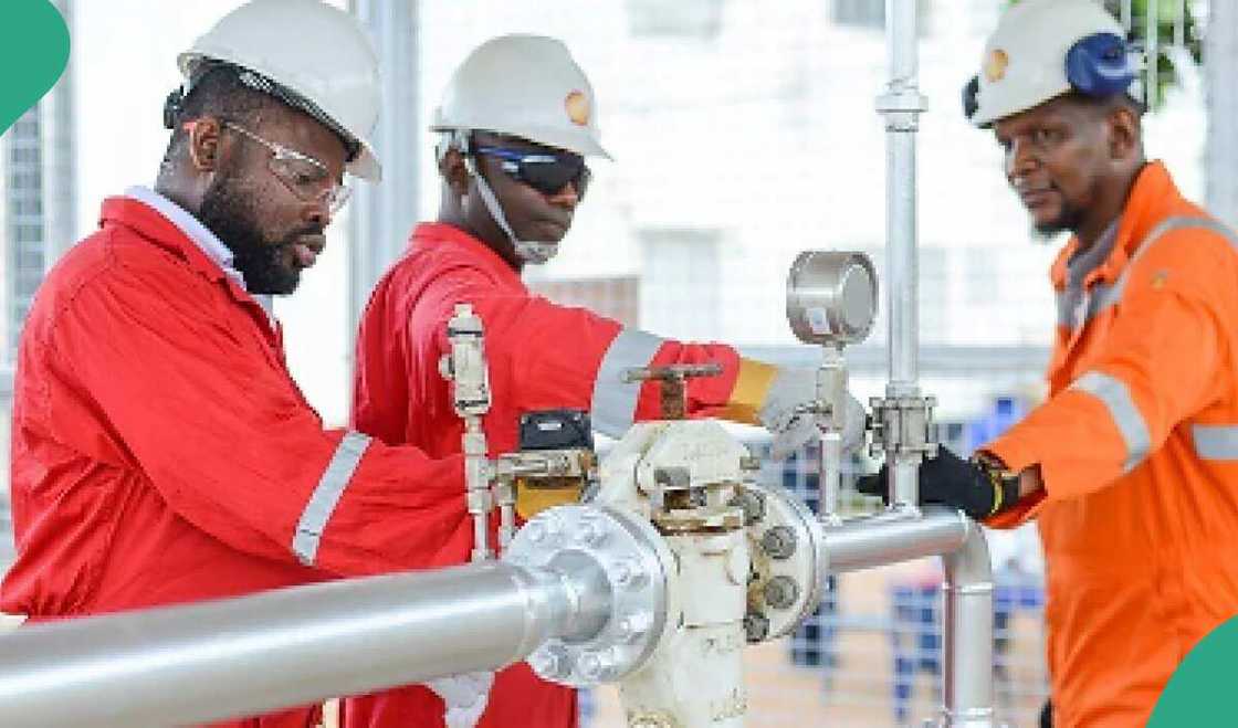 Global Oil Giant, Shell to Sell Nigerian Company After Sacking Workers Global Oil Giant, Shell to Sell Nigerian Company After Sacking Workers