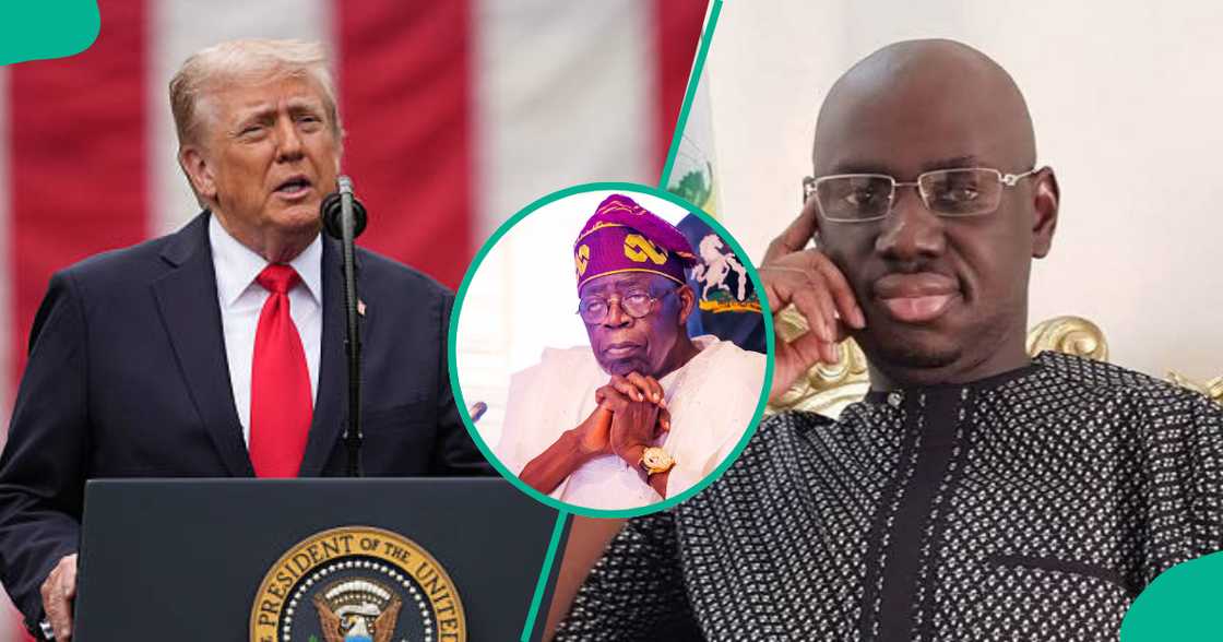 Timi Frank urges Trump to halt security cooperation with Tinubu's govt Timi Frank urges Trump to halt security cooperation with Tinubu's govt
