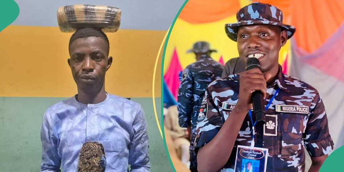 'Yan sandan Kano sun kama rikakken dilan miyagun kwayoyi 'Yan sandan Kano sun kama rikakken dilan miyagun kwayoyi