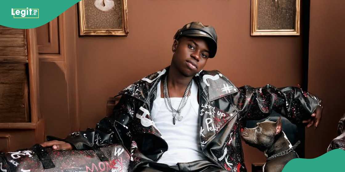 Peller and other streamers have been warned over their safety. Peller and other streamers have been warned over their safety.