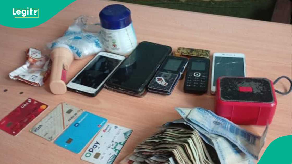 'Yan sanda sun kwato kayayyakin miliyoyin Naira a hannun 'yan fashi da barayin shanu 'Yan sanda sun kwato kayayyakin miliyoyin Naira a hannun 'yan fashi da barayin shanu