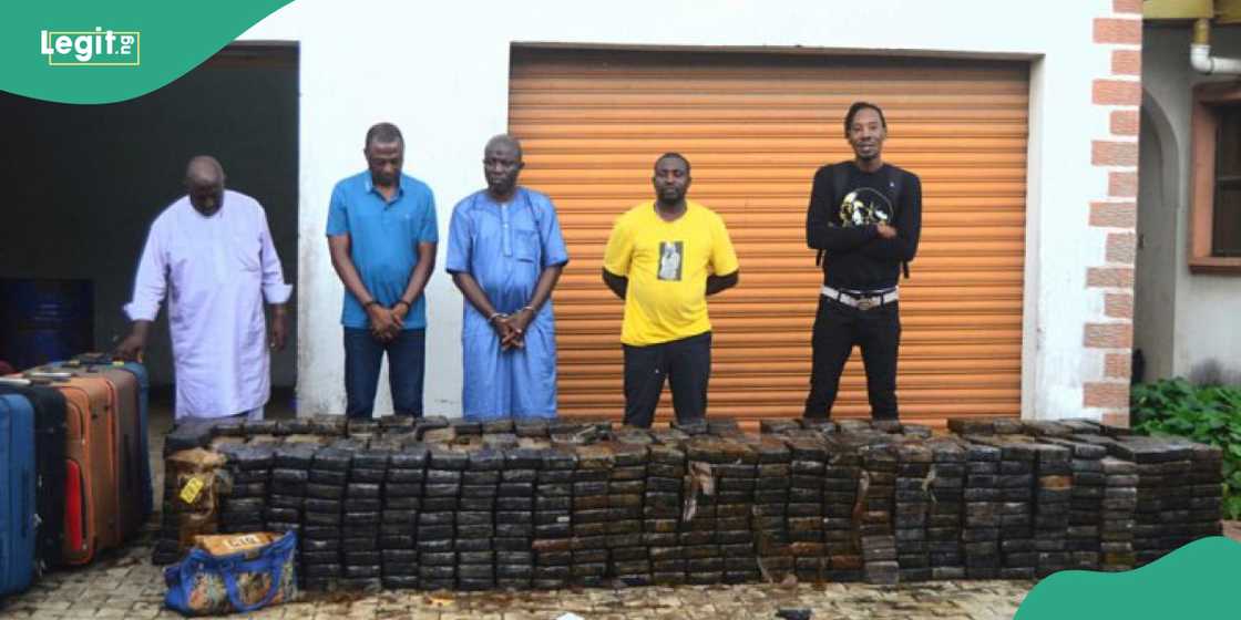 Drug kingpins jailed, assets forfeited