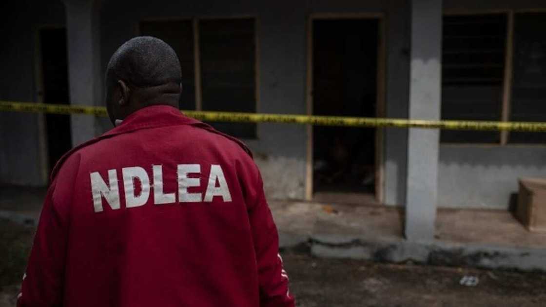 NDLEA Operatives Storm Lagos Church to Arrest Wanted Drug Dealer NDLEA Operatives Storm Lagos Church to Arrest Wanted Drug Dealer