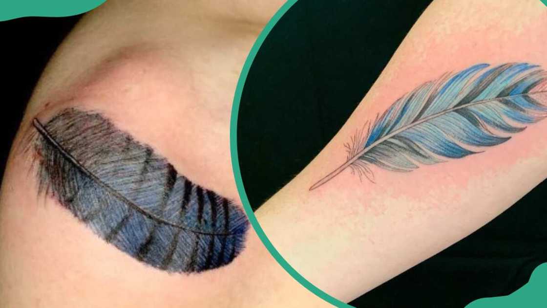 Blue Jay feather tattoos Blue Jay feather tattoos