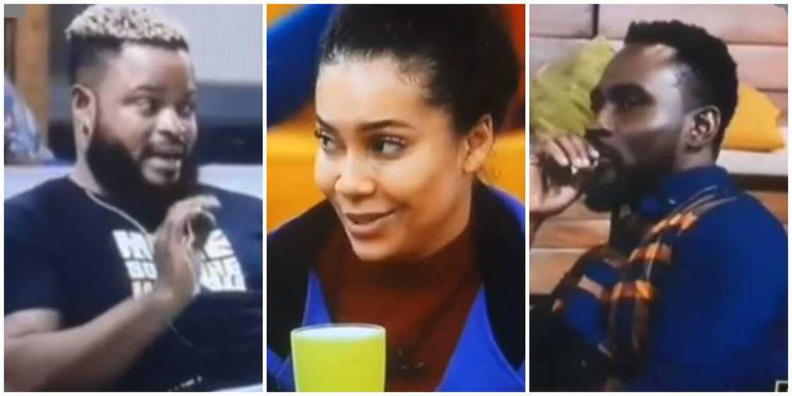 Photos of Whitemoney, Maria and Pere. Photos of Whitemoney, Maria and Pere.