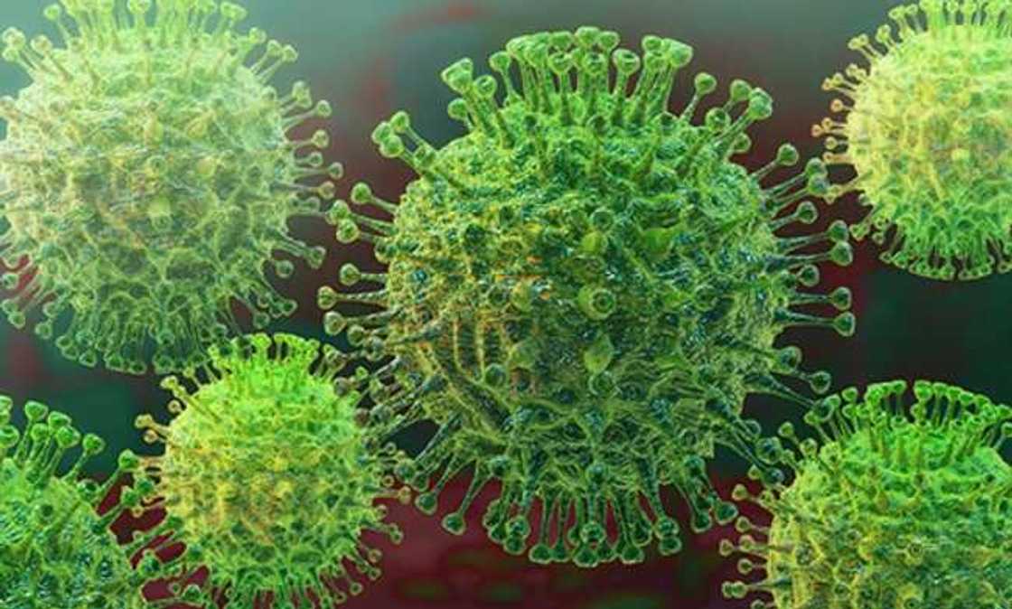 COVID-19 anxiety heightens as deceased Katsina doctor met traditional rulers, others COVID-19 anxiety heightens as deceased Katsina doctor met traditional rulers, others