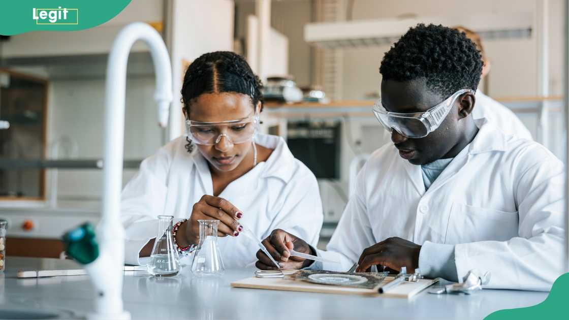 biology education students doing an experiment biology education students doing an experiment