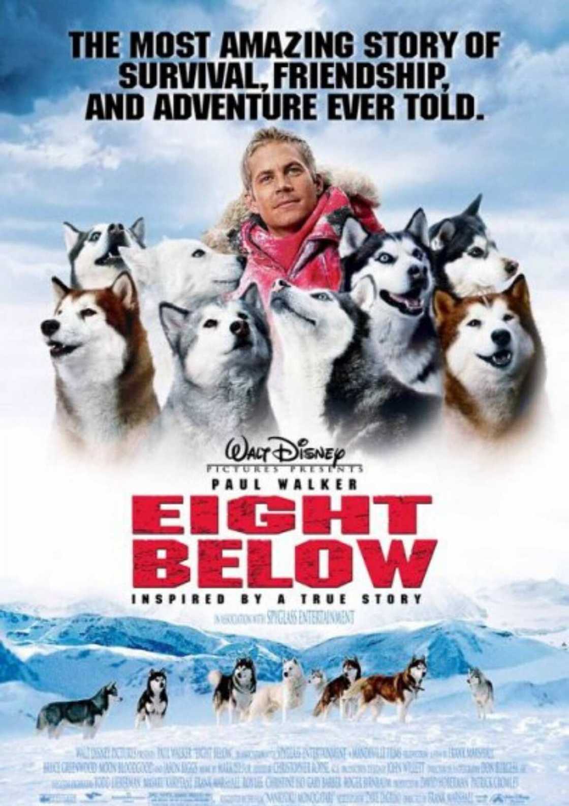 wilderness survival movies wilderness survival movies