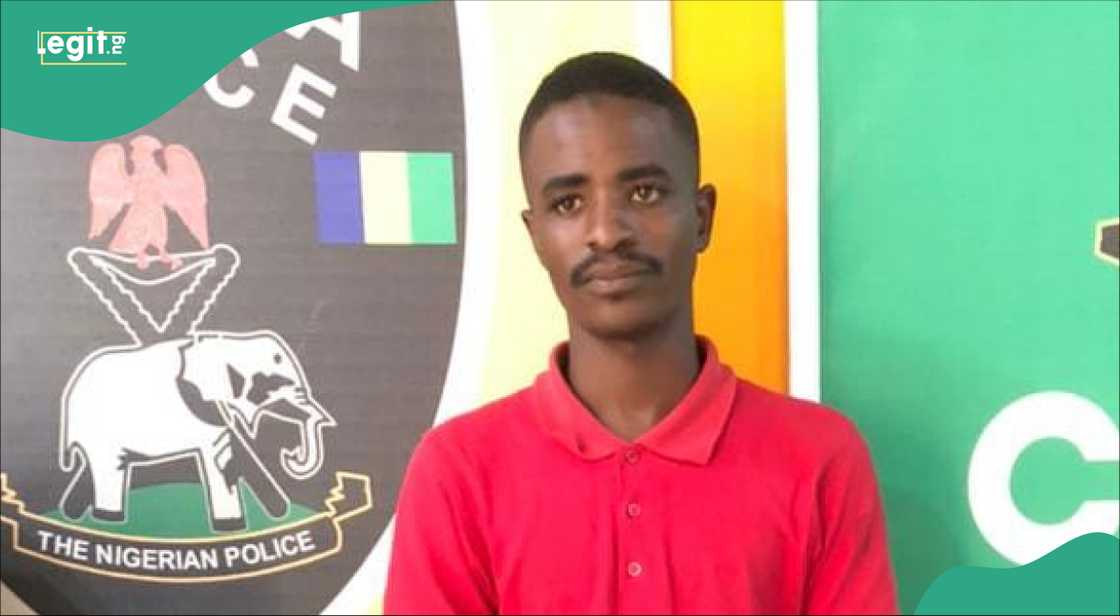 Sojan Bogi Sojan Bogi