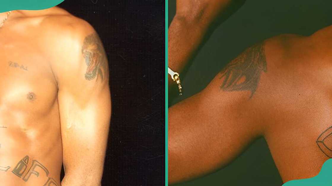 Tupac's Black Panther Tupac's Black Panther