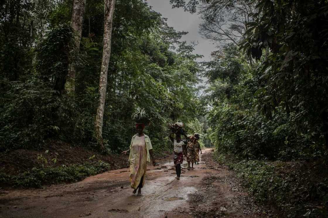 Some say locals have seen little benefit from promised funds to protect the rainforest Some say locals have seen little benefit from promised funds to protect the rainforest