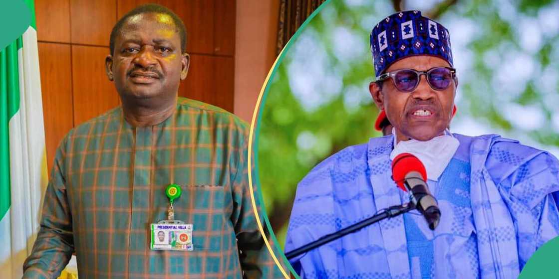 Adesina said Buhari had some regrets Adesina said Buhari had some regrets