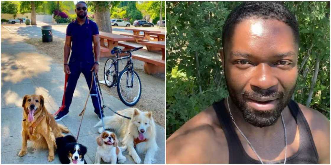 David Oyelowo David Oyelowo