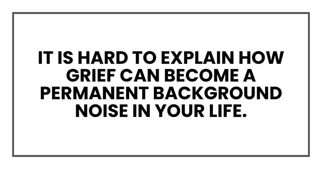 It is hard to explain how grief can become a permanent background noise in your life. It is hard to explain how grief can become a permanent background noise in your life.