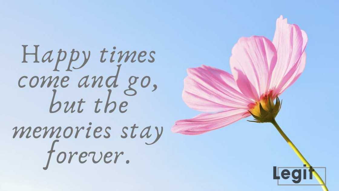quotes on childhood memories quotes on childhood memories
