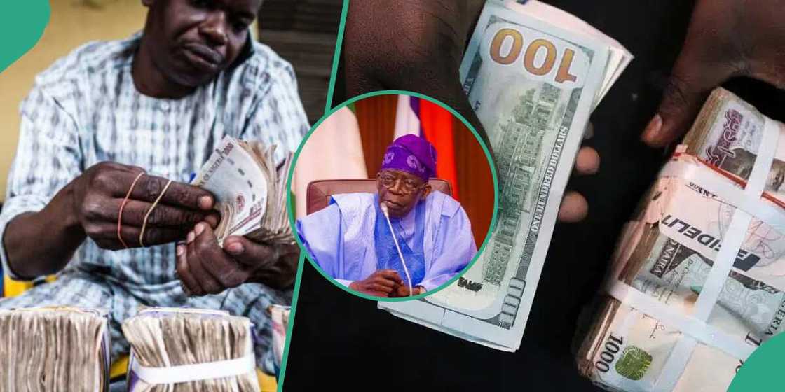 Naira vs Dollar Today: Shocking Convergence in Official and Black Market Rates Naira vs Dollar Today: Shocking Convergence in Official and Black Market Rates
