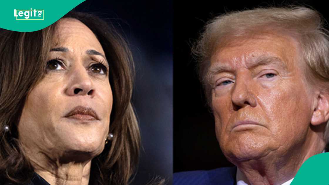 Trump and Harris/US election 2024