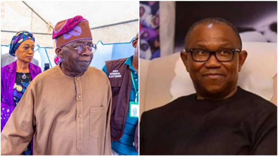 Bola Tinubu/Peter Obi/APC/Labour Party/2023 Election/Southeast Bola Tinubu/Peter Obi/APC/Labour Party/2023 Election/Southeast