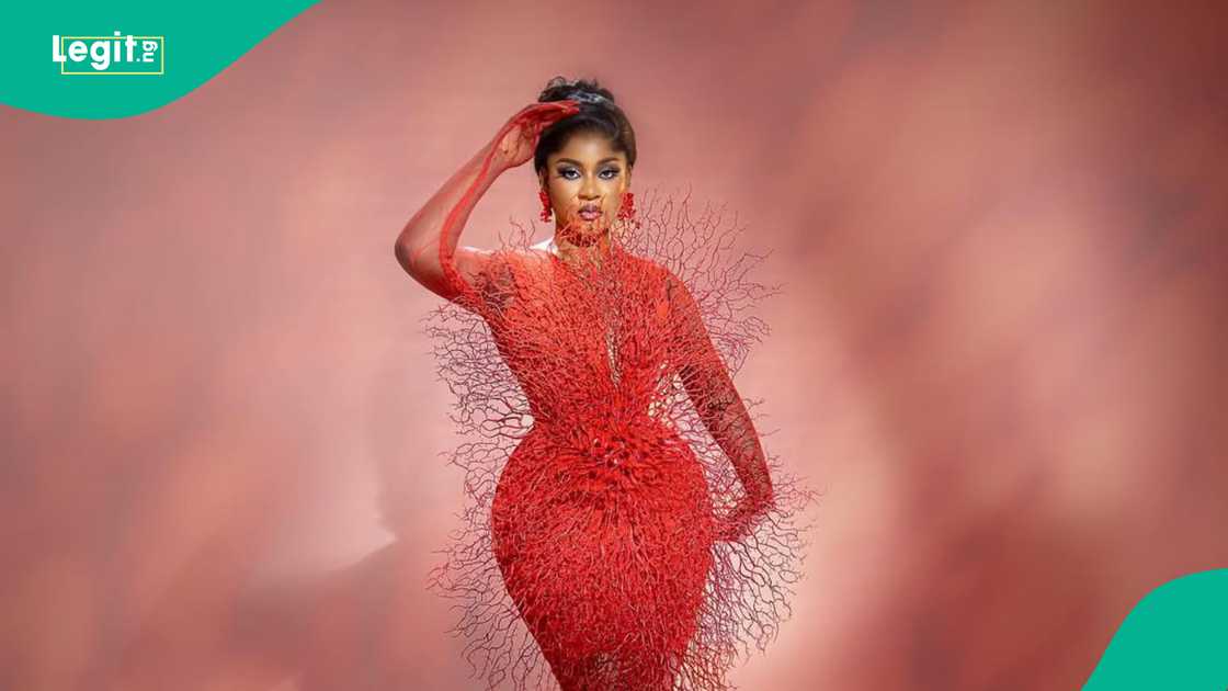 BBNaija's Phyna shares ordeal after viral fighting video in Abuja BBNaija's Phyna shares ordeal after viral fighting video in Abuja
