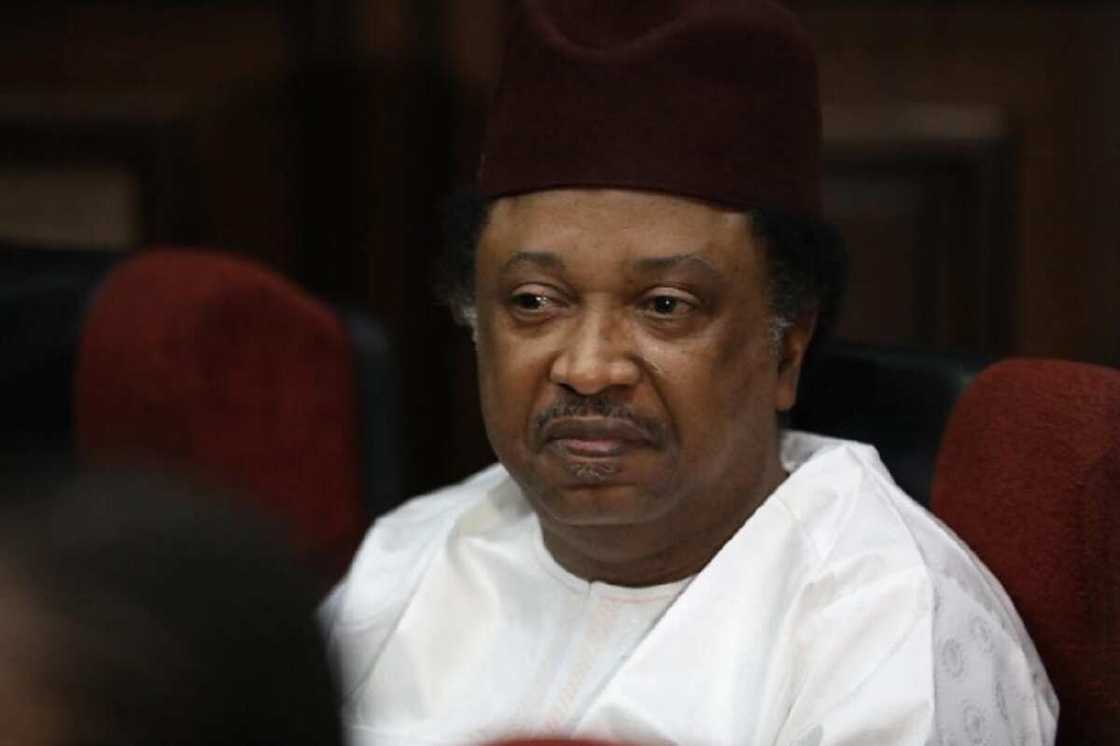 Shehu Sani ya yi wa Buratai 'wankin babban bargo' a kan wa'adin da ya bai wa Boko Haram Shehu Sani ya yi wa Buratai 'wankin babban bargo' a kan wa'adin da ya bai wa Boko Haram