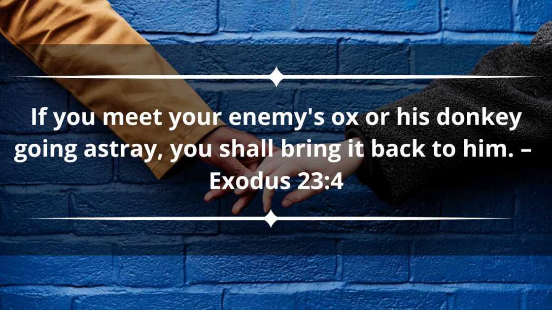 Bible verses about loving your enemies