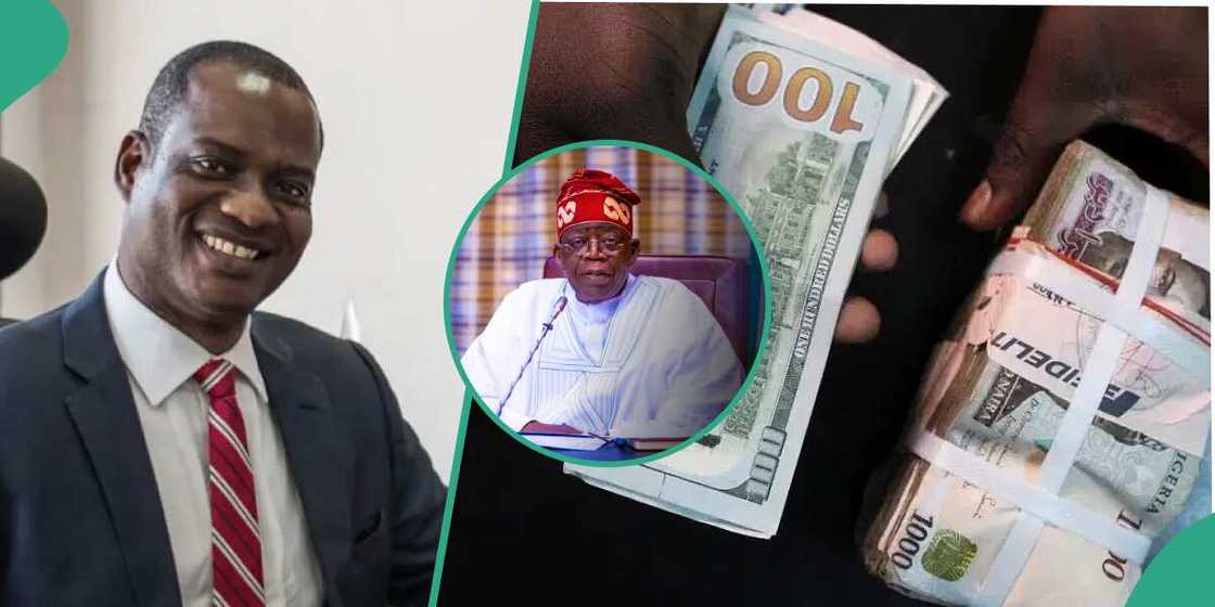 Tinubu Tax team Tinubu Tax team