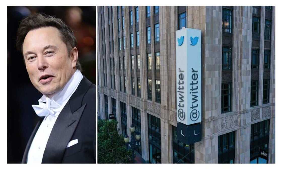 Twitter, Elon Musk, Landlord