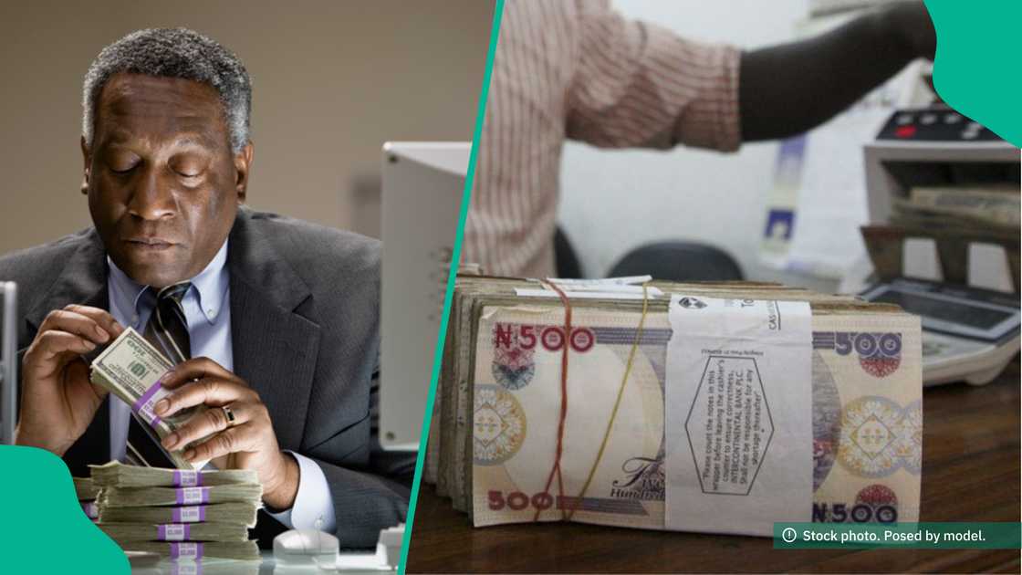 Expert predicts naira stability in 2025