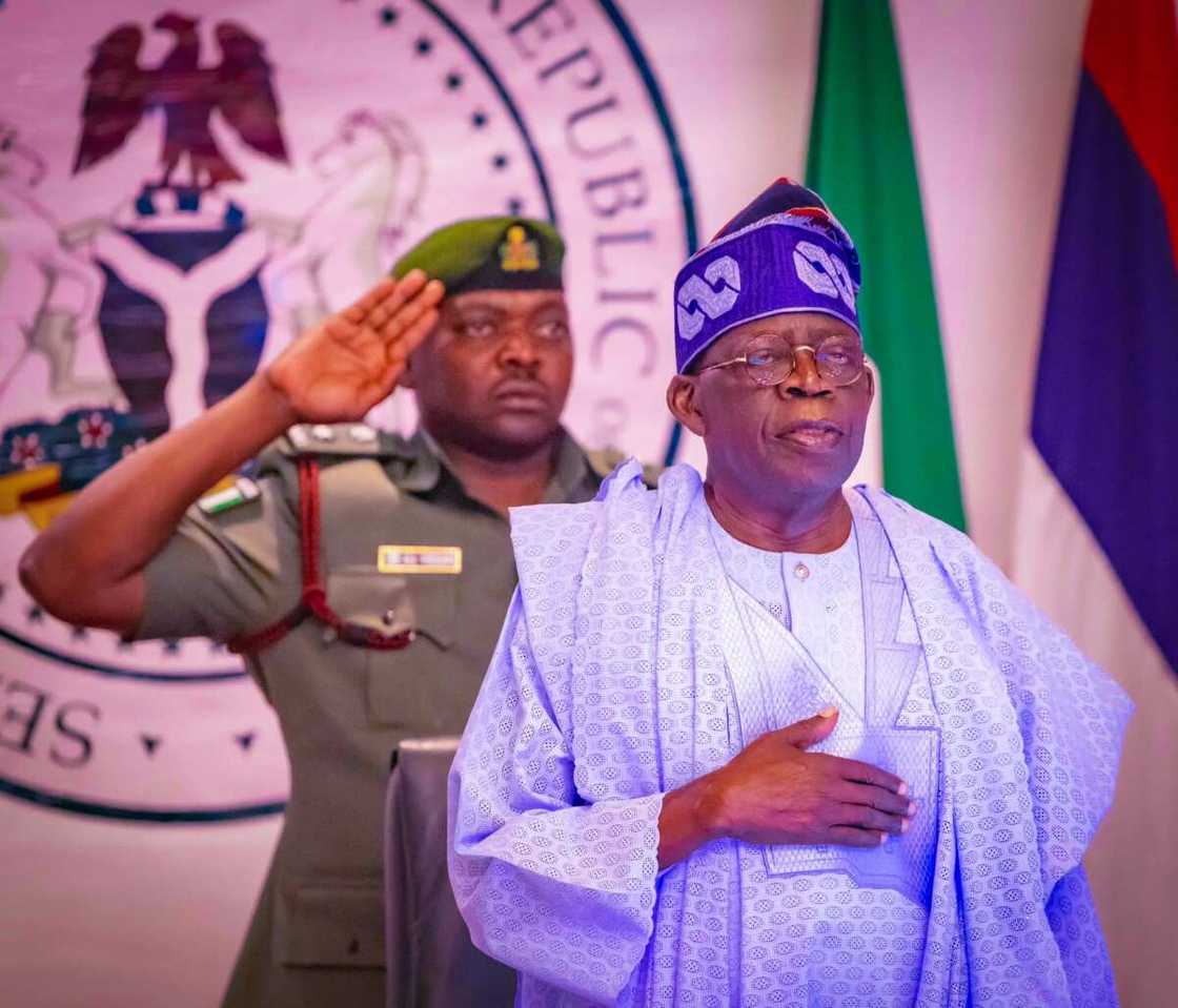 Tinubu, Tribunal Tinubu, Tribunal