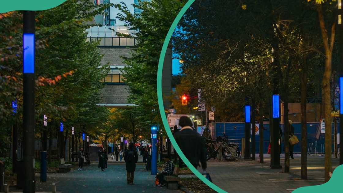 Toronto Metropolitan University campus