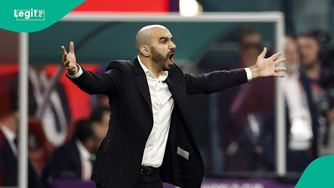 Walid Regragui, 2022 FIFA World Cup, Qatar, Croatia, Morocco, Khalifa International Stadium in Rayyan.