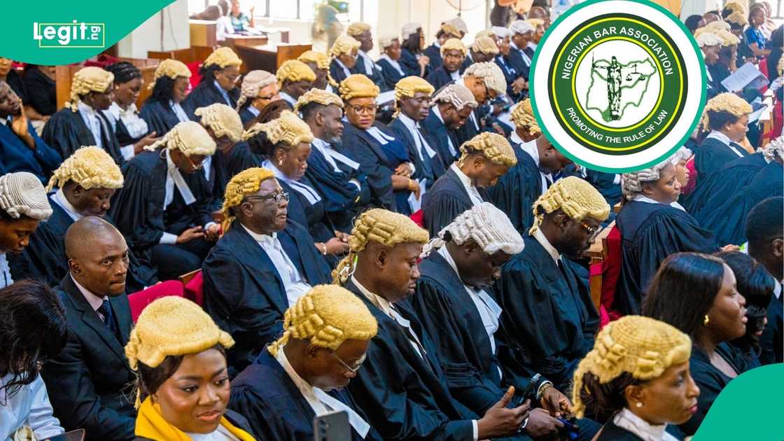 The sole female aspirant in the ongoing NBA election has started taking the lead in the results that have emerged. The sole female aspirant in the ongoing NBA election has started taking the lead in the results that have emerged.