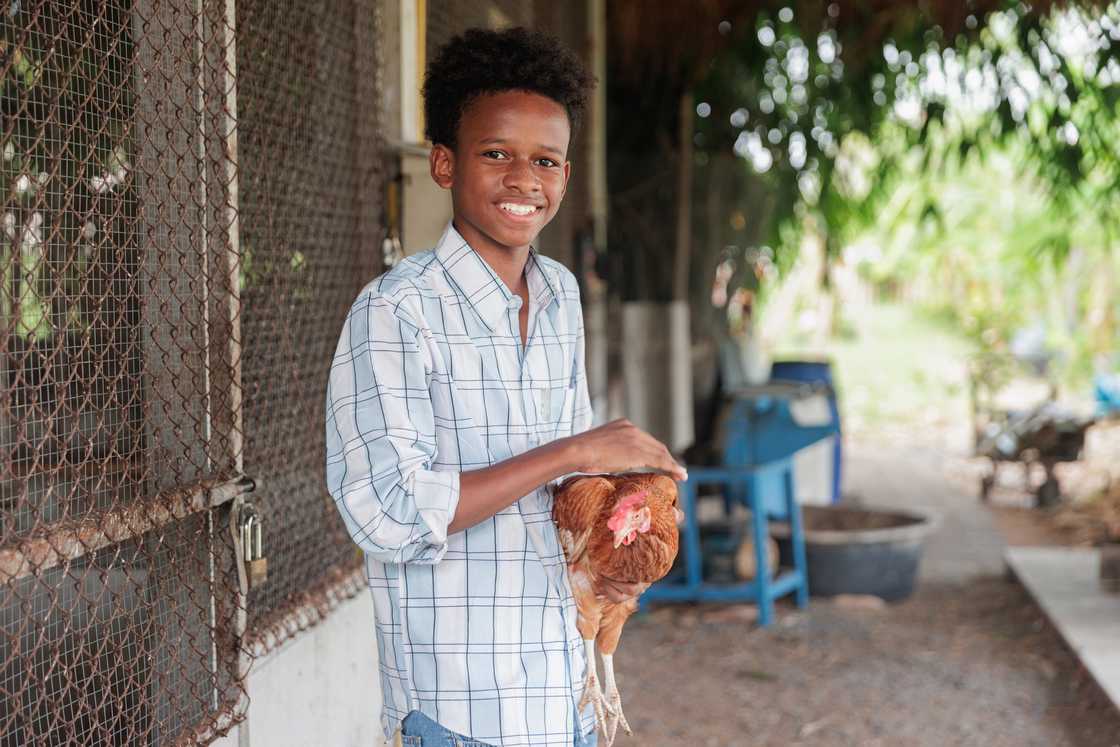A teenage boy holding a chicken in a coop.