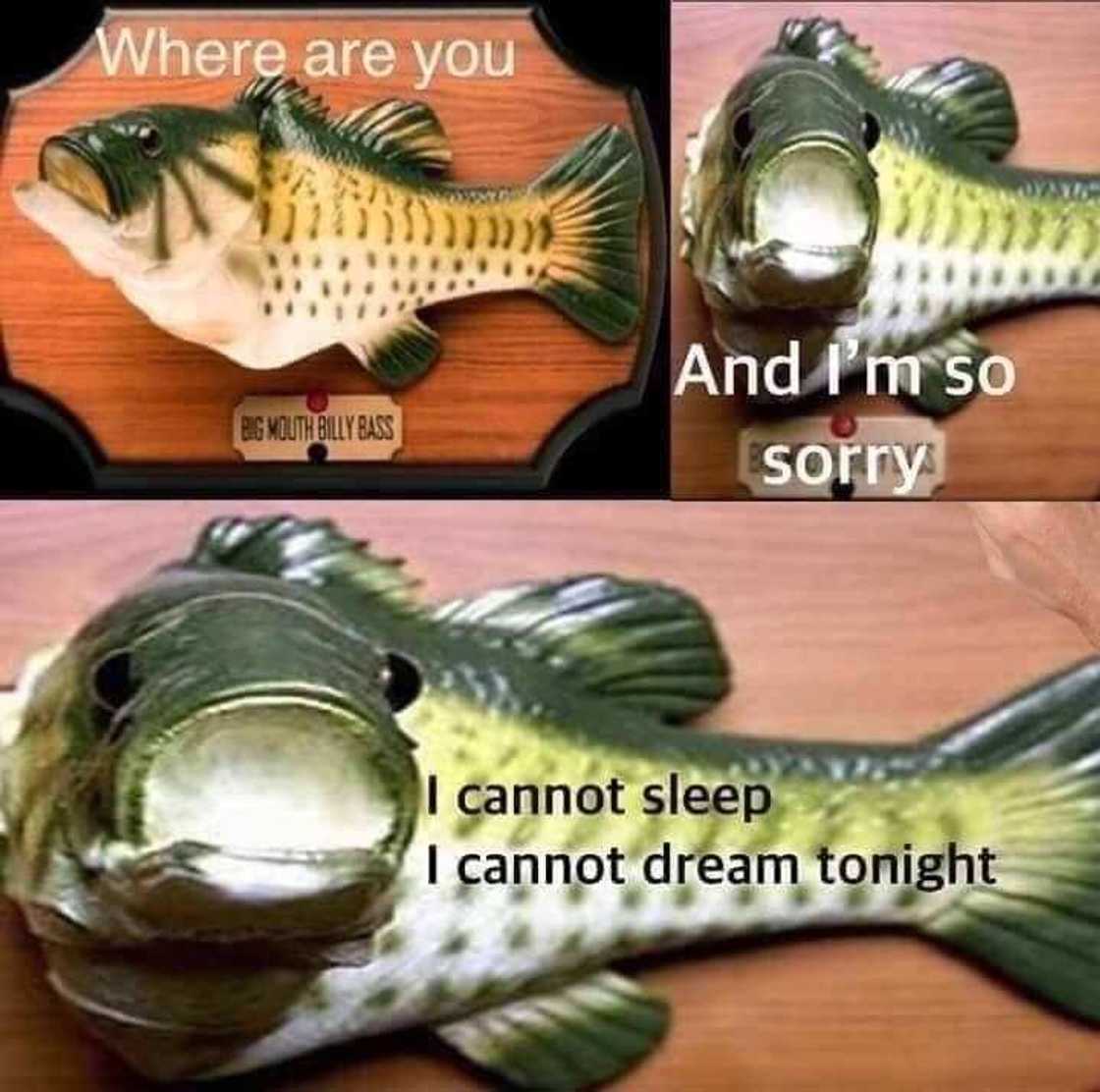 missing you meme missing you meme