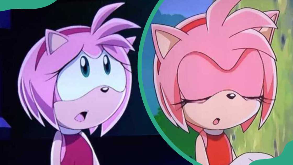 Amy Rose from Sonic X
