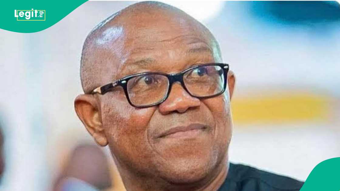 Dan takarar shugaban kasa, Peter Obi