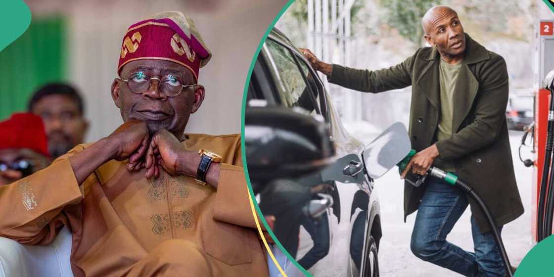 FG insists fuel subsidy is gone FG insists fuel subsidy is gone