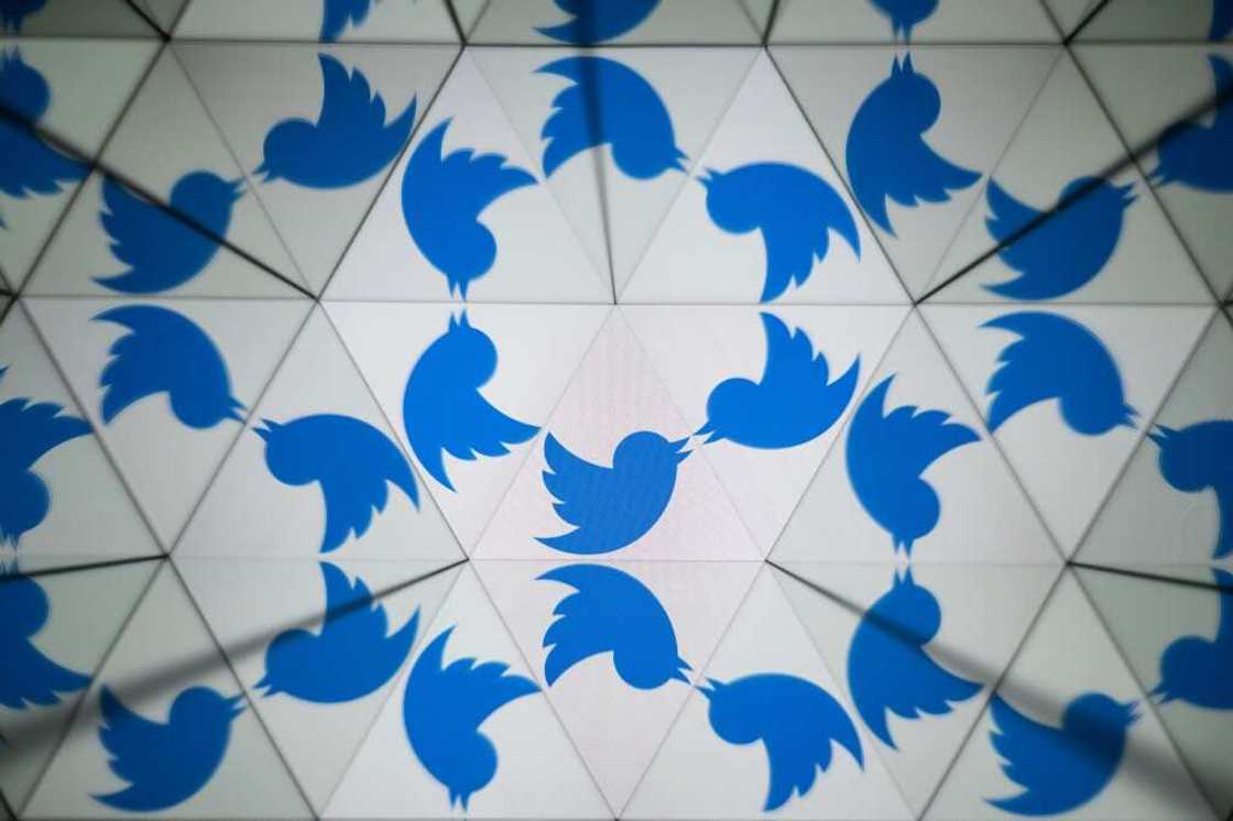 Twitter, whose name is a play on the sound of birds chattering, has used the avian branding since early in its 2006 launch Twitter, whose name is a play on the sound of birds chattering, has used the avian branding since early in its 2006 launch